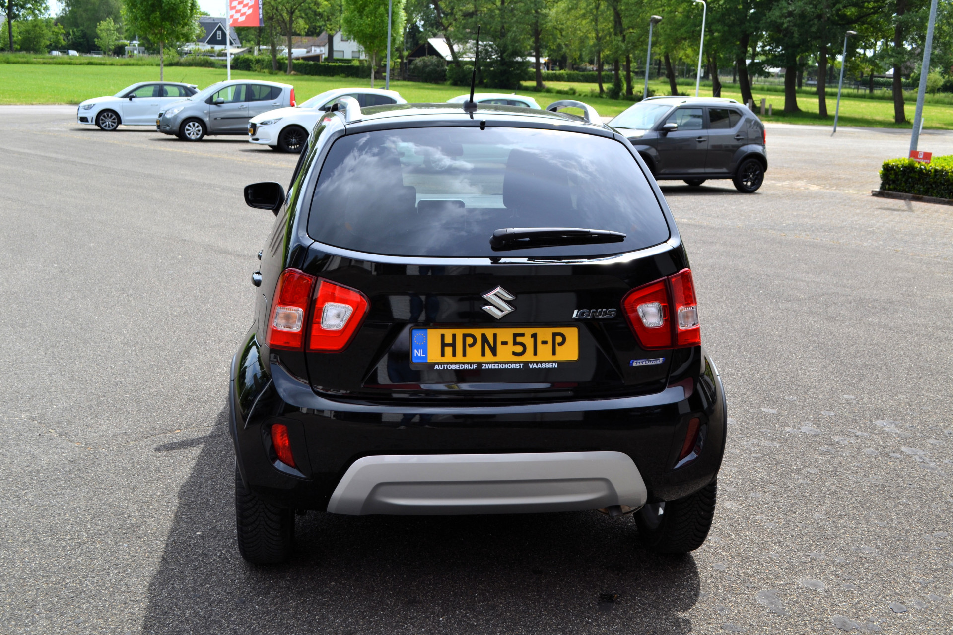 45136346-13.jpg