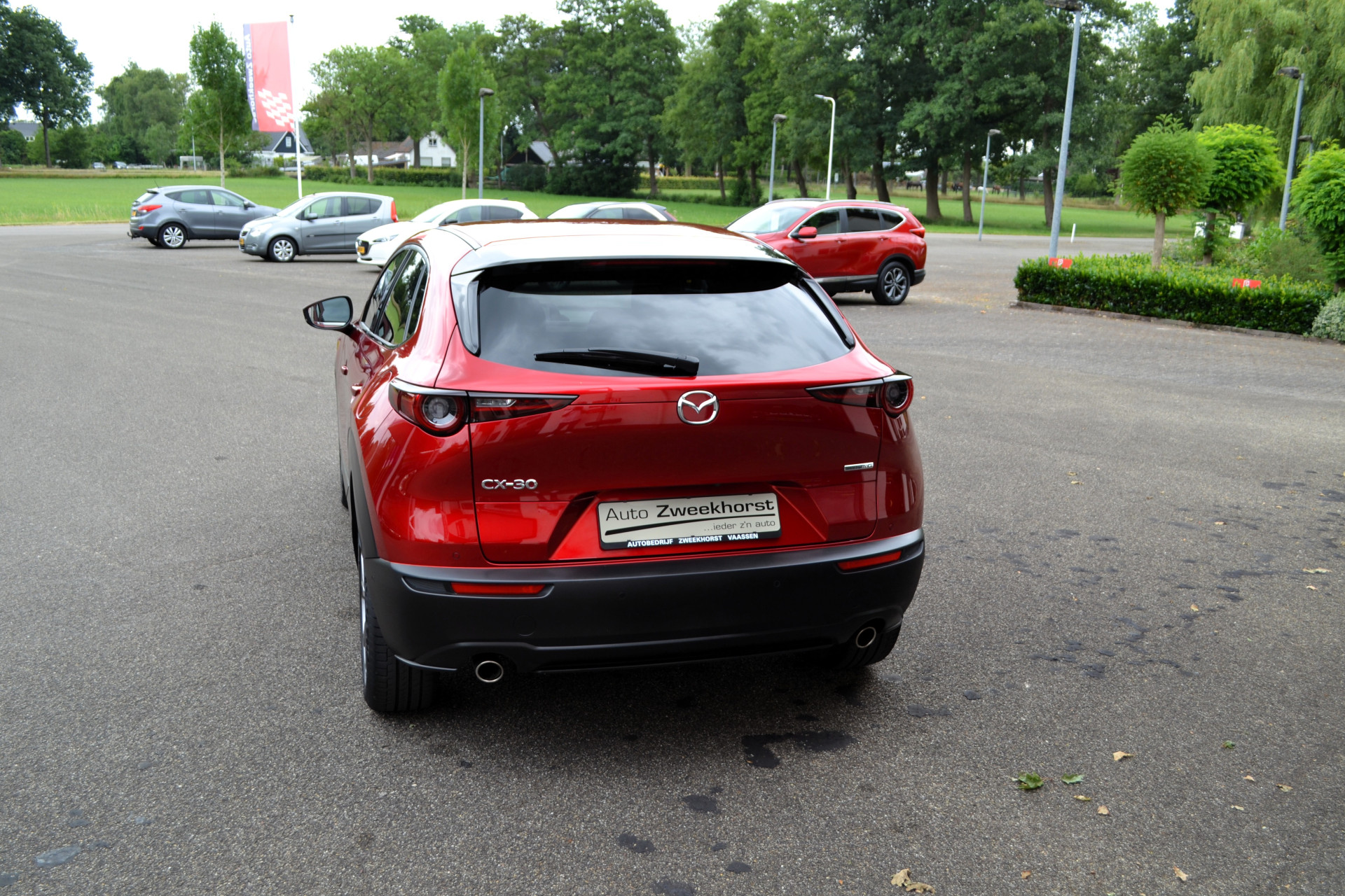 46180082-11.jpg