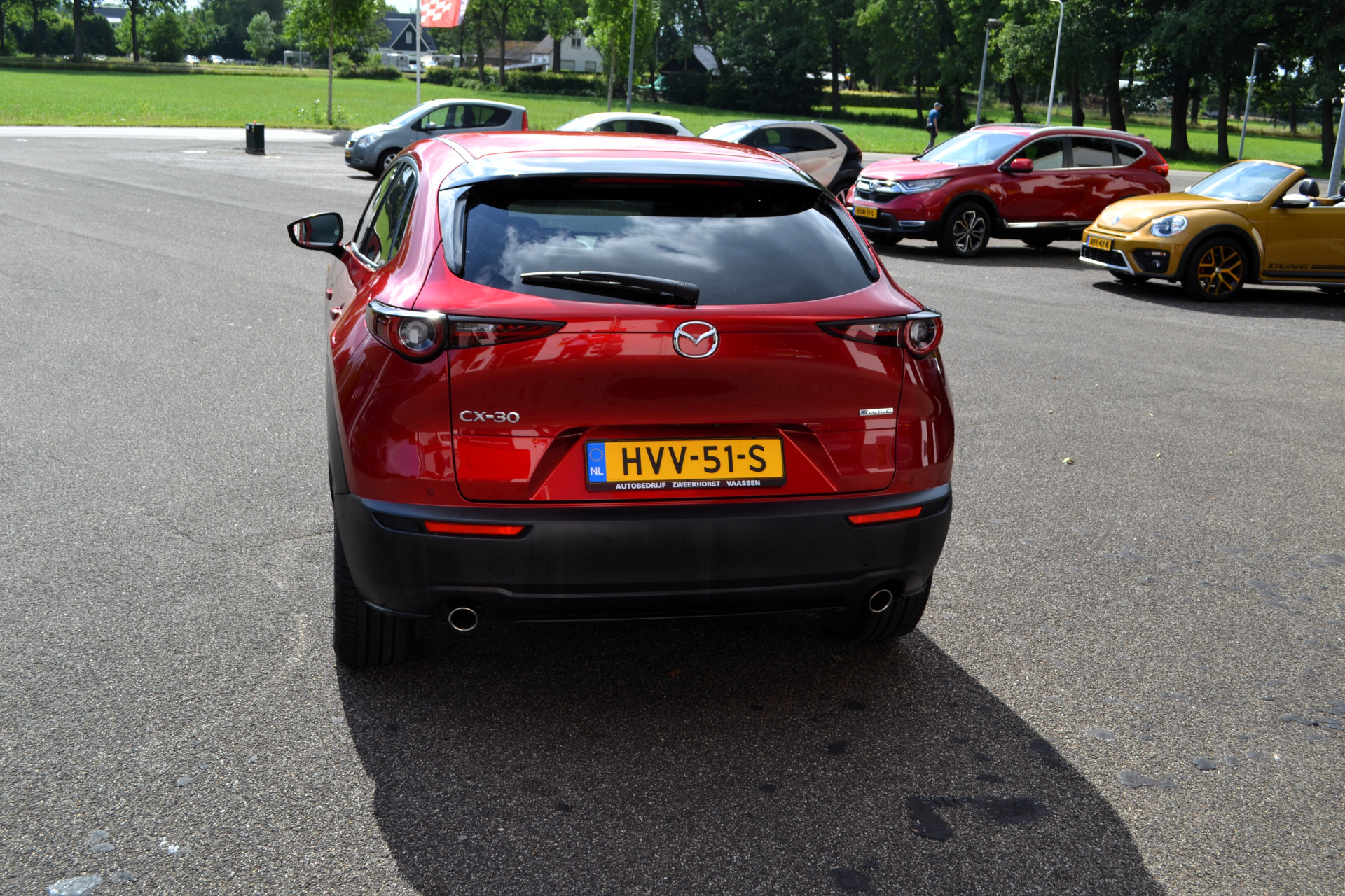 46180082-11.jpg