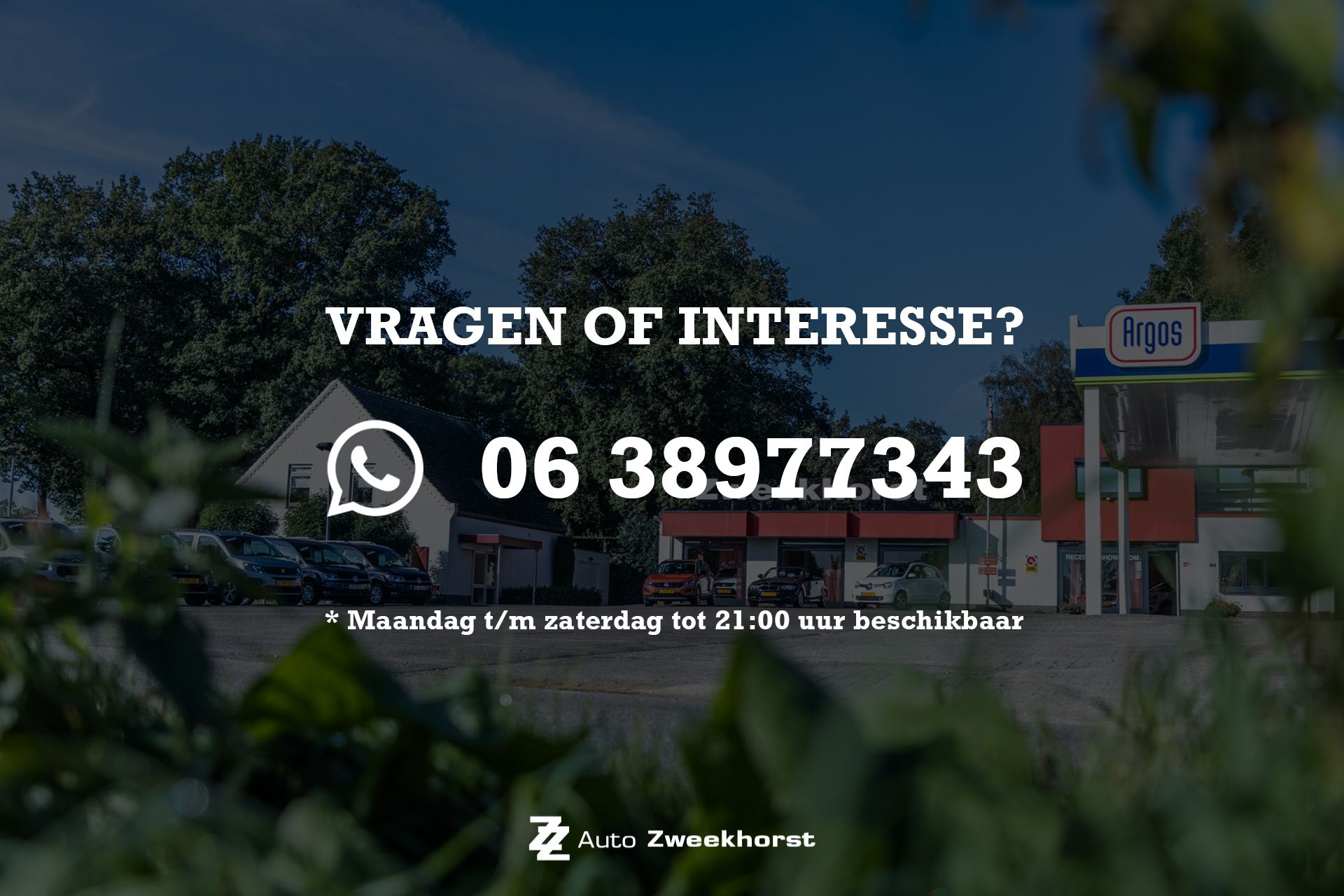 47252448-4.jpg