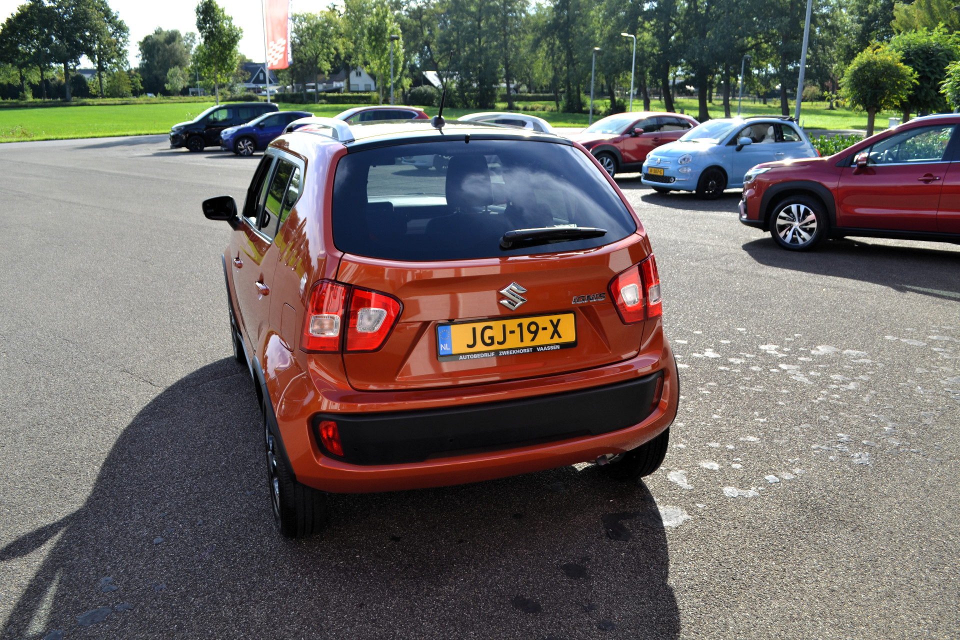 47707669-16.jpg