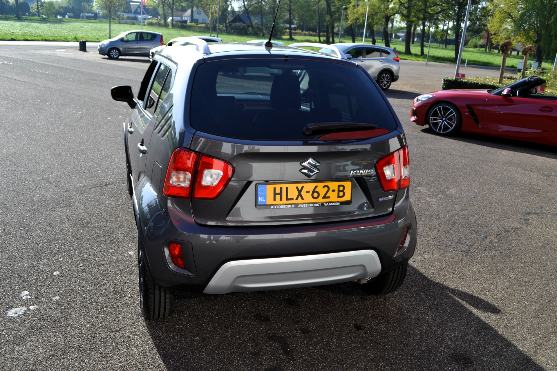 48645662-14.jpg